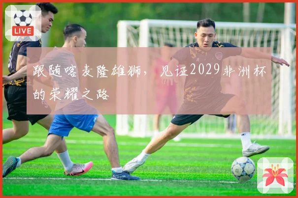 跟随喀麦隆雄狮，见证2029非洲杯的荣耀之路