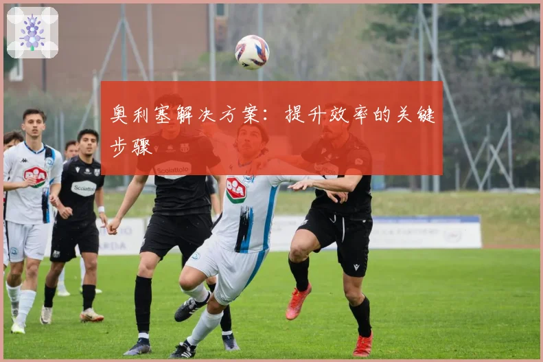 奥利塞解决方案：提升效率的关键步骤