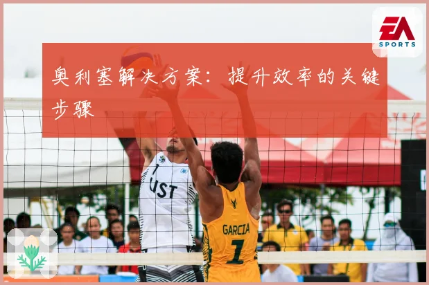 奥利塞解决方案:提升效率的关键步骤